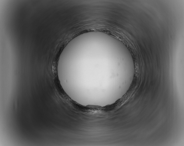 X0000100330284200806051210