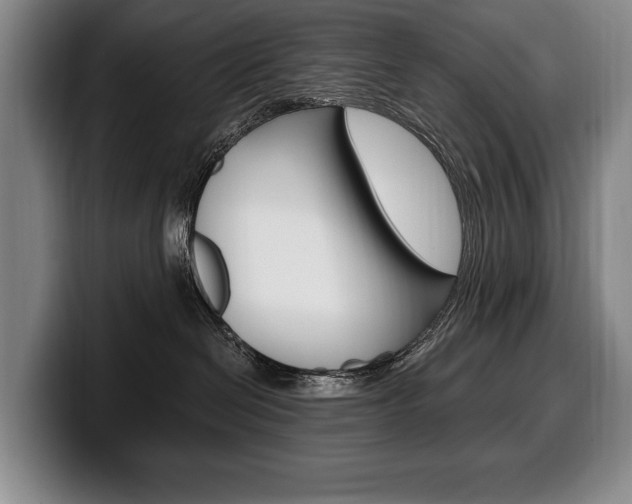 X0000100330286200806051210