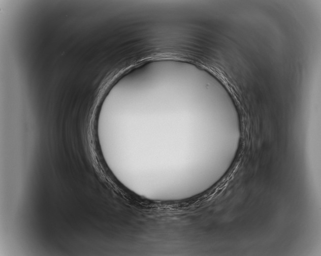 X0000100330289200806051209