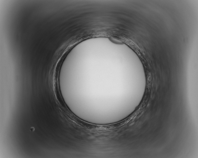X0000100330290200806051209