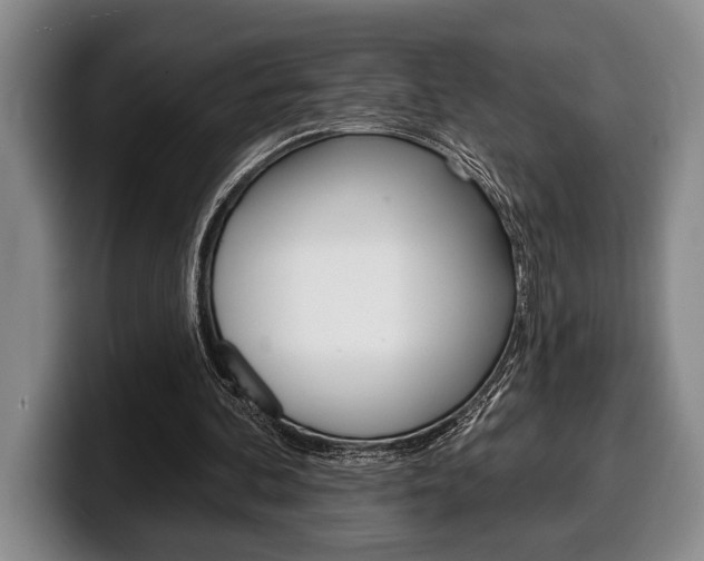 X0000100330292200806051209