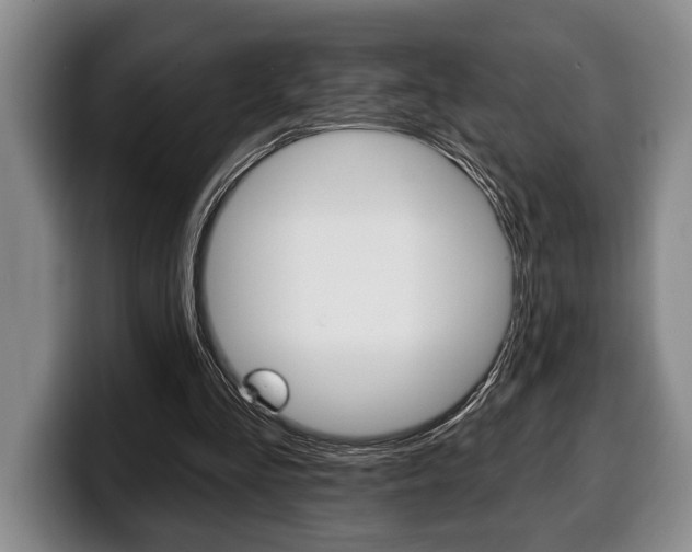 X0000100330293200806051209