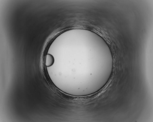 X0000100330294200806051209