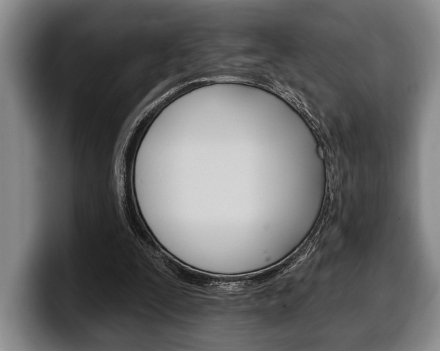 X0000100330295200806051209