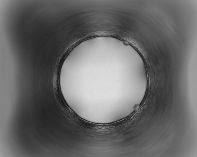 X0000100330297200806051209