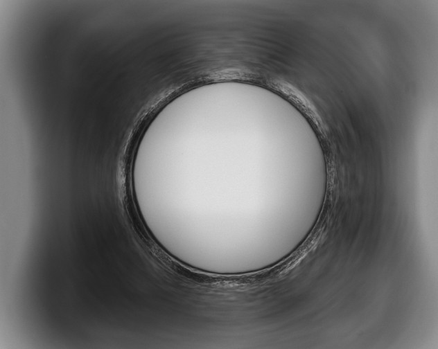 X0000100330298200806051209