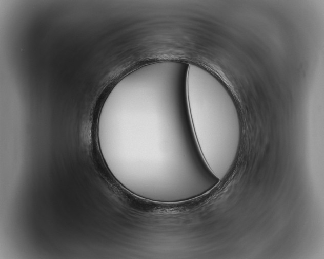 X0000100330299200806051209