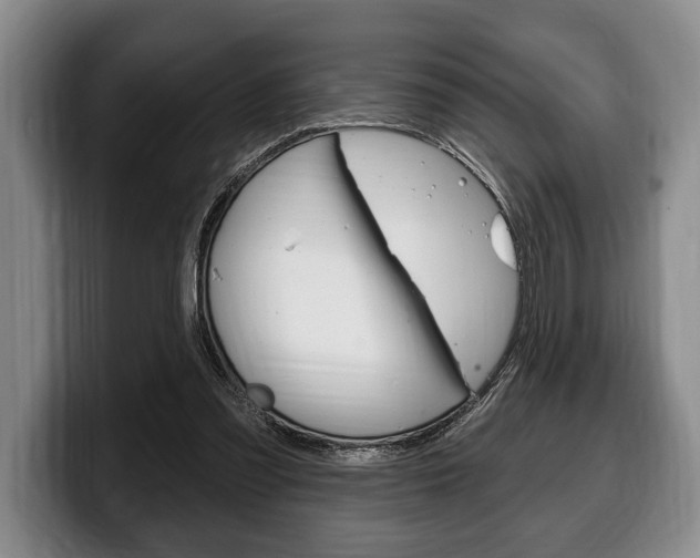 X0000100330301200806051209