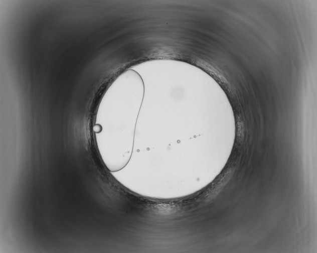 X0000100330302200806051209