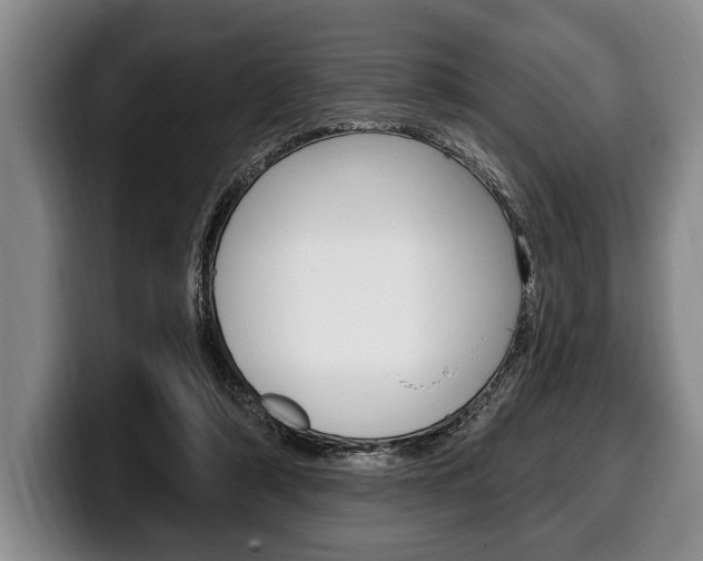 X0000100330306200806051209