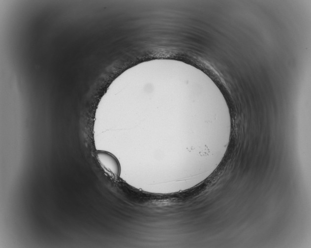X0000100330307200806051209