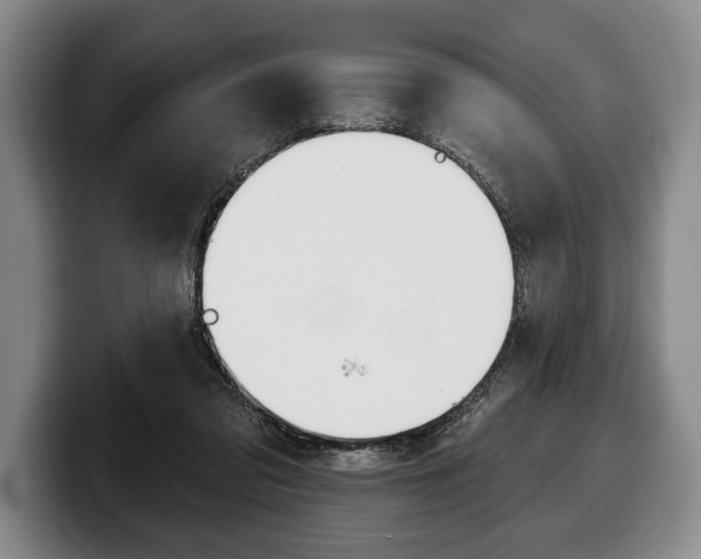 X0000100330309200806051209