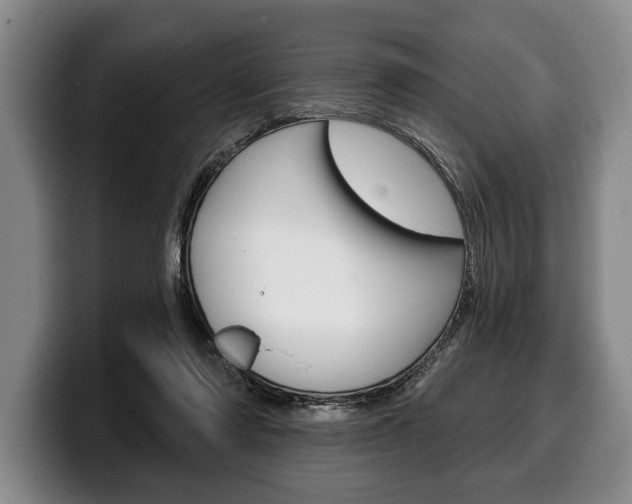 X0000100330310200806051209