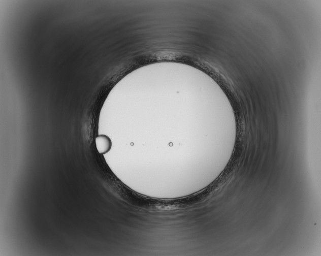 X0000100330311200806051209