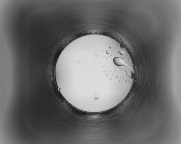 X0000100330313200806051209