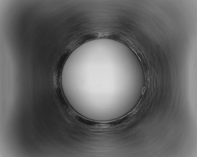 X0000100330316200806051209