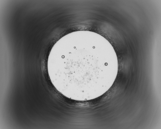 X0000100330317200806051209
