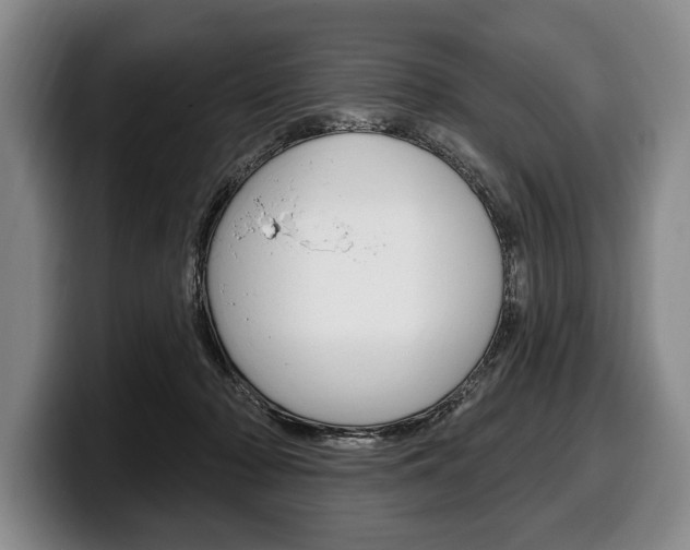 X0000100330318200806051209