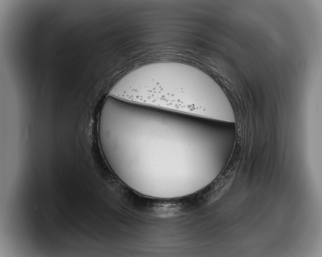 X0000100330319200806051209