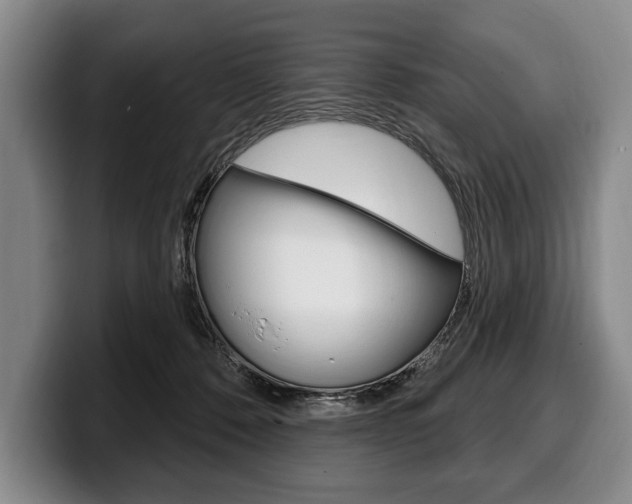 X0000100330320200806051209