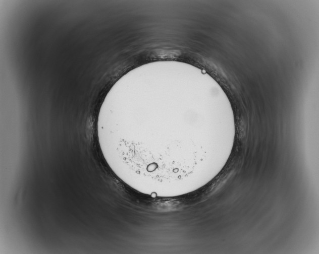 X0000100330321200806051209