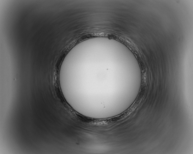 X0000100330322200806051209