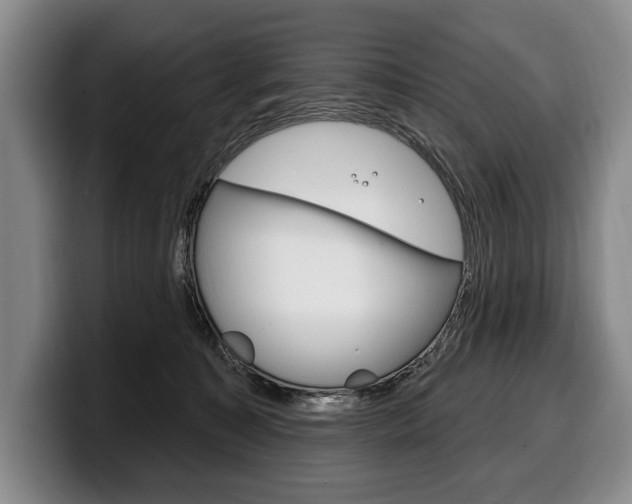 X0000100330323200806051209