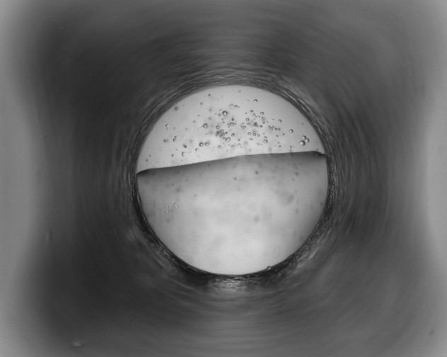X0000100330325200806051209