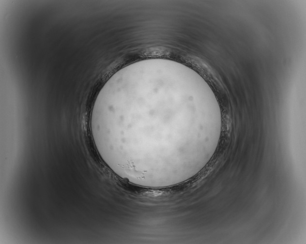 X0000100330326200806051209