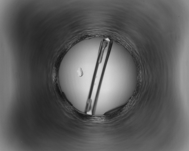 X0000100330328200806051209