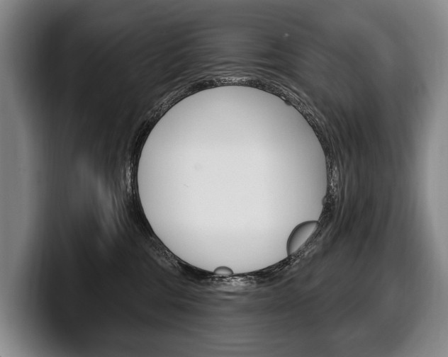 X0000100330330200806051209