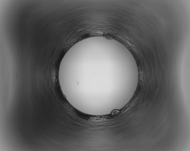 X0000100330331200806051209