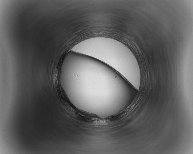 X0000100330332200806051209