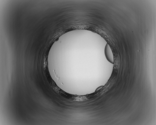 X0000100330334200806051209