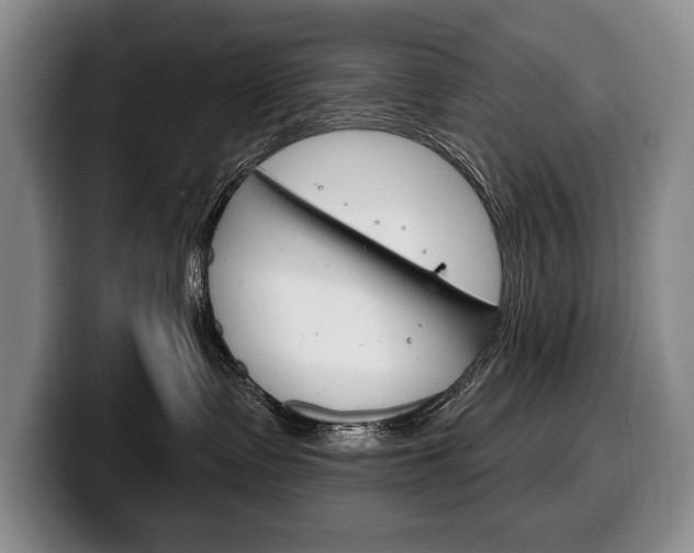 X0000100330335200806051209