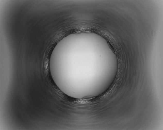 X0000100330336200806051209