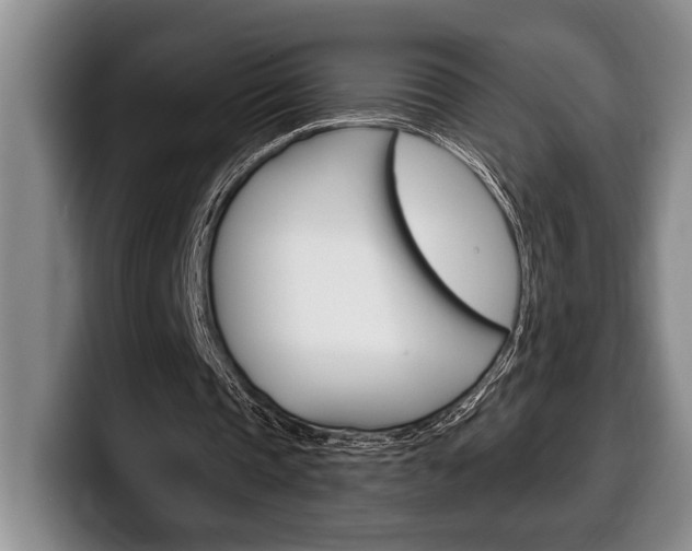 X0000100330337200806051208