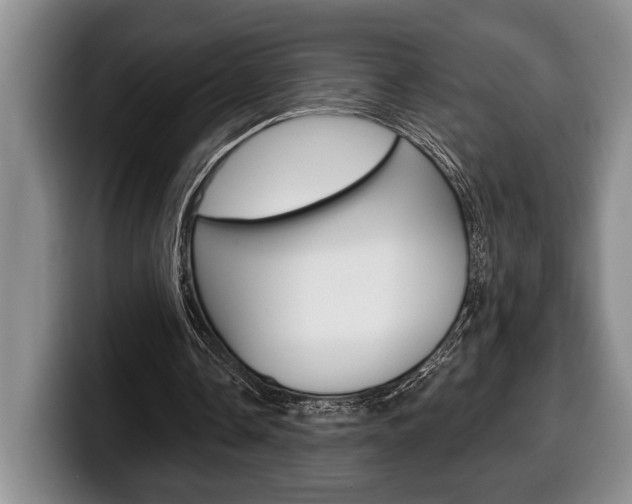 X0000100330338200806051208