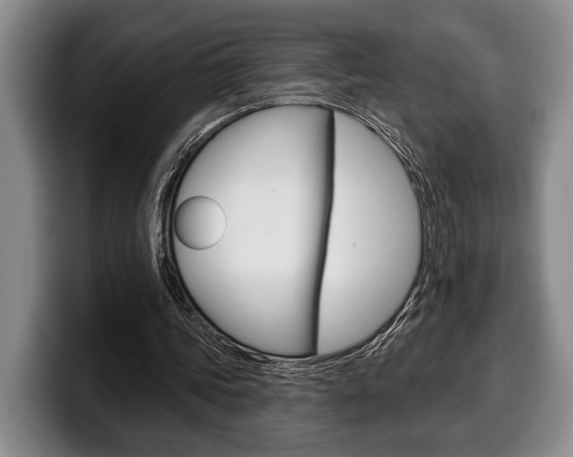 X0000100330339200806051208
