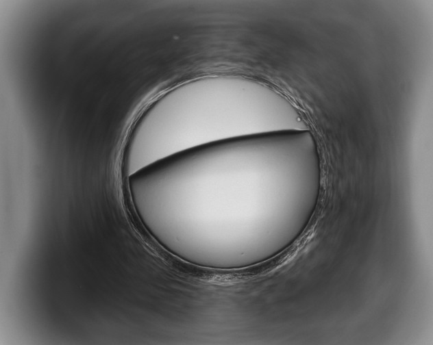 X0000100330341200806051208