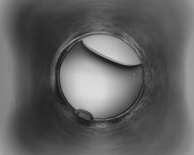 X0000100330344200806051208