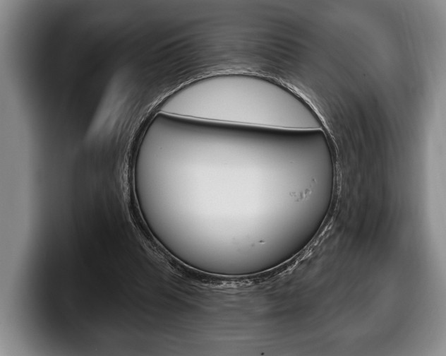X0000100330345200806051208