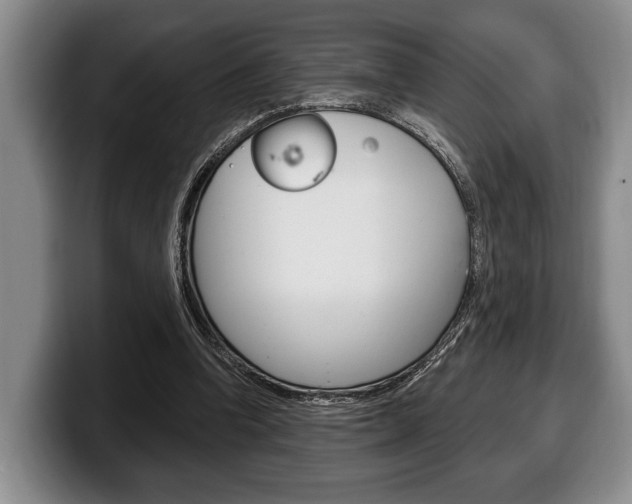 X0000100330346200806051208