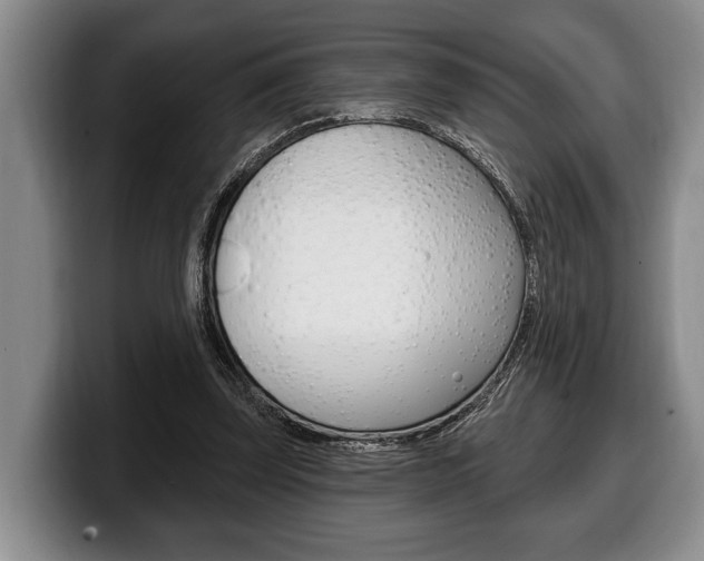 X0000100330347200806051208