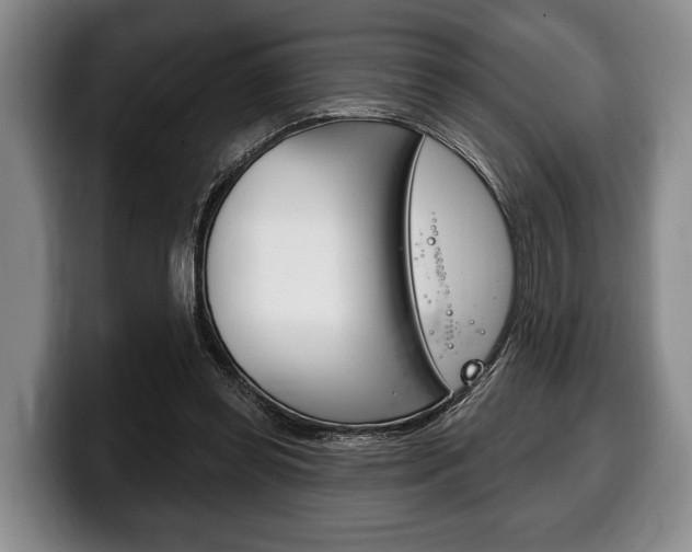 X0000100330349200806051208
