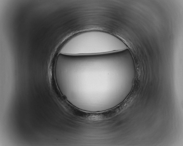 X0000100330350200806051208