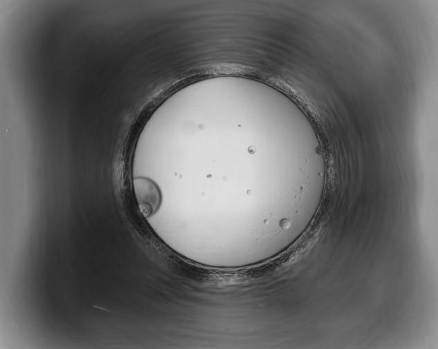 X0000100330351200806051208