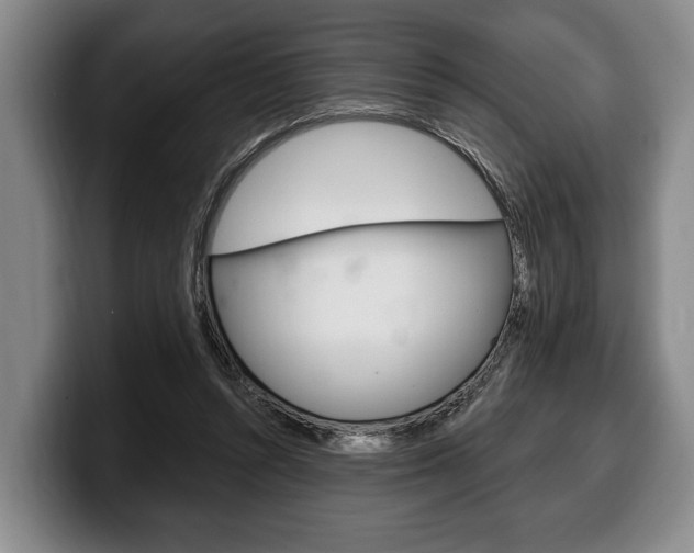 X0000100330352200806051208
