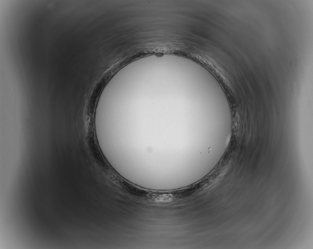 X0000100330355200806051208