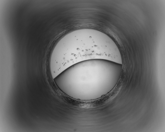X0000100330356200806051208